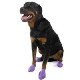 PAWZ D BOOTS PRPL LG 12CT