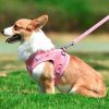 dog Harnesses and dog leash set; New dog leash corduroy breathable dog chest strap reflective pet chest strap walking dog rope set